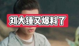 刘大锤最新爆料微博,揭秘娱乐圈惊天秘密！